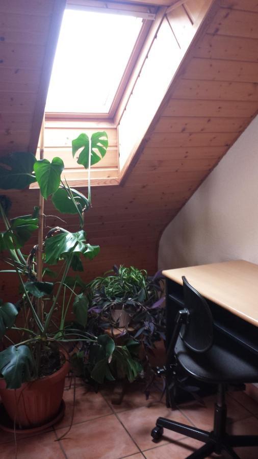 Pension Rosenblick Mörlenbach 外观 照片